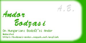 andor bodzasi business card